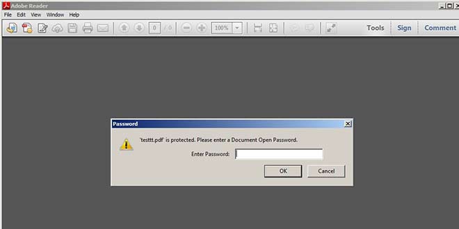 Word dökümanını şifreli Pdf çevirme